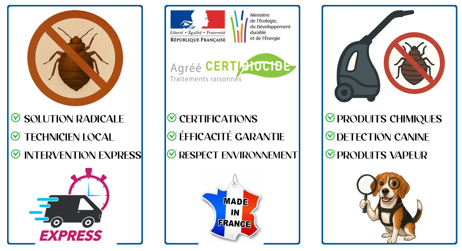 Punaises de Lit Boissy Saint Leger