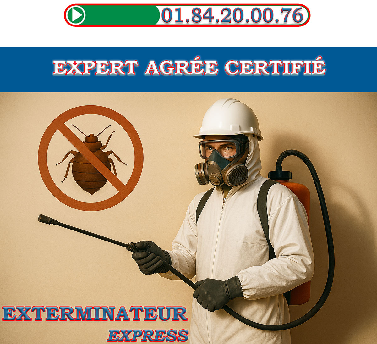 Punaises de Lit Boissy Saint Leger